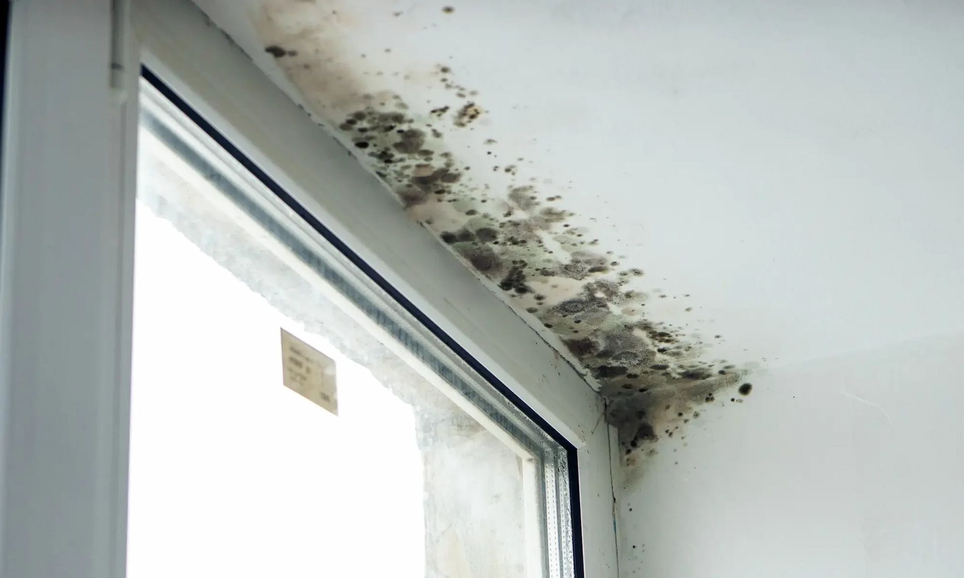 Sun-Ray Foundation Repair LLC